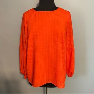 NEW INVESTMENTS plus size lined long sleeve blouse